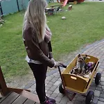 Domek letniskowy Magnati Władysławowo