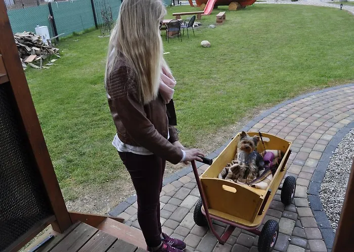 Lodge Magnati Władysławowo